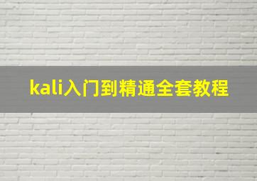 kali入门到精通全套教程