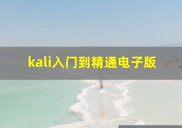 kali入门到精通电子版