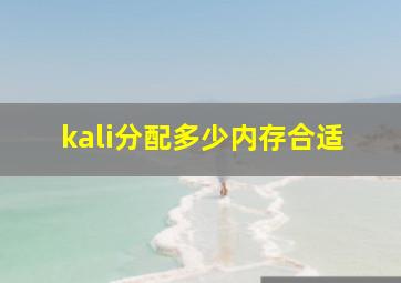 kali分配多少内存合适