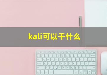 kali可以干什么