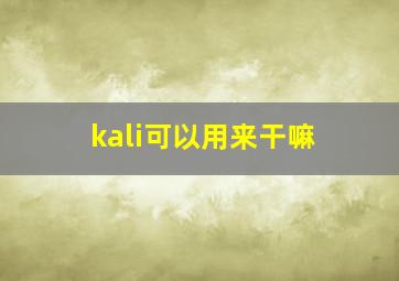 kali可以用来干嘛