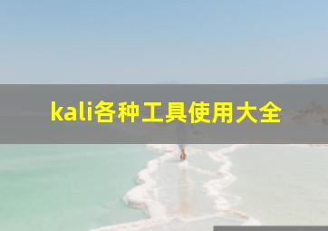 kali各种工具使用大全