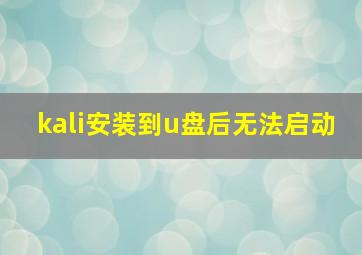 kali安装到u盘后无法启动