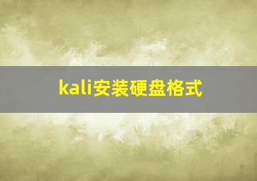 kali安装硬盘格式