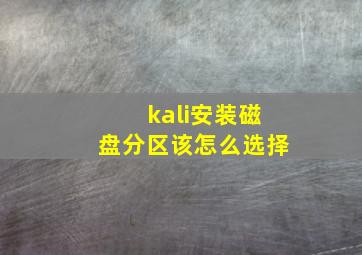 kali安装磁盘分区该怎么选择