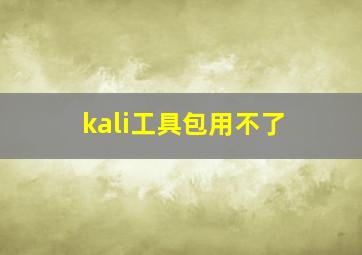 kali工具包用不了