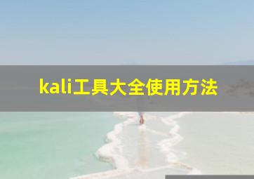 kali工具大全使用方法