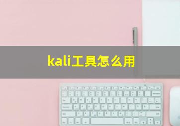 kali工具怎么用