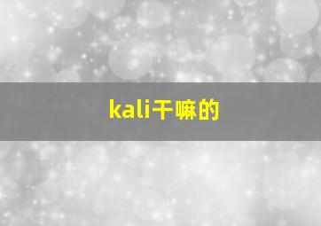 kali干嘛的