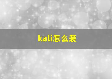 kali怎么装