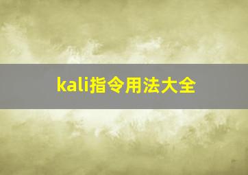 kali指令用法大全