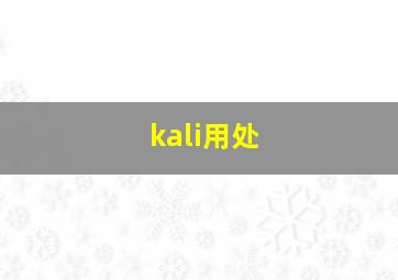 kali用处