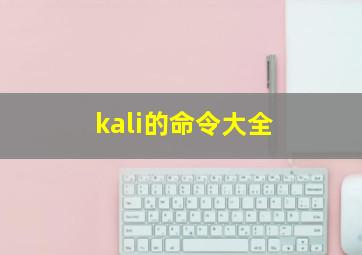 kali的命令大全