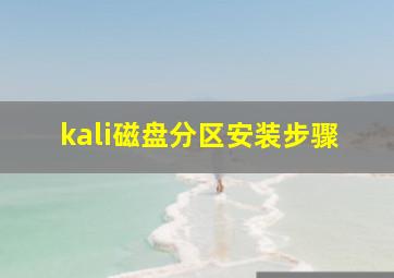 kali磁盘分区安装步骤