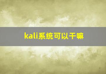 kali系统可以干嘛