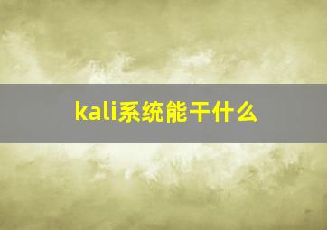 kali系统能干什么