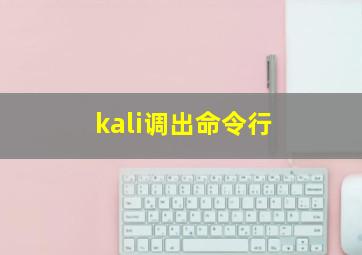 kali调出命令行