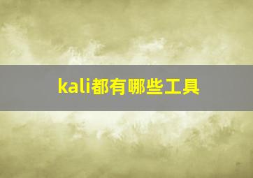 kali都有哪些工具