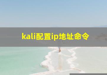 kali配置ip地址命令