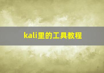 kali里的工具教程