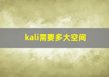 kali需要多大空间