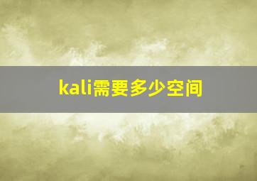 kali需要多少空间