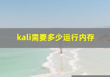 kali需要多少运行内存