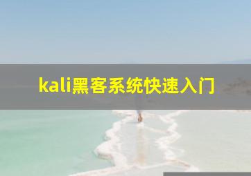 kali黑客系统快速入门