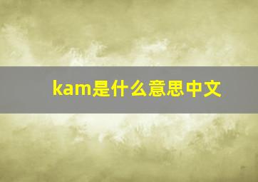 kam是什么意思中文