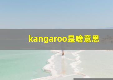 kangaroo是啥意思