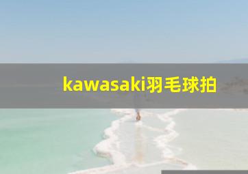 kawasaki羽毛球拍