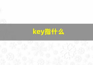 key指什么