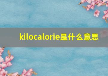 kilocalorie是什么意思