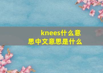 knees什么意思中文意思是什么