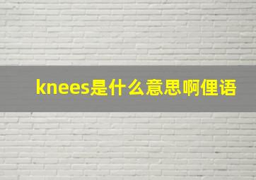 knees是什么意思啊俚语