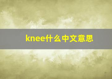 knee什么中文意思