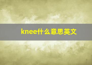 knee什么意思英文