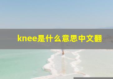 knee是什么意思中文翻