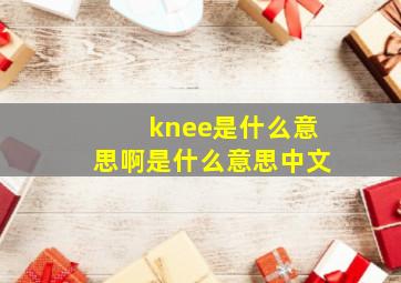 knee是什么意思啊是什么意思中文