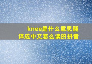 knee是什么意思翻译成中文怎么读的拼音