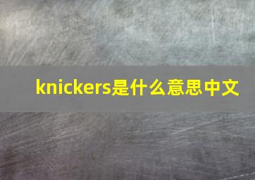 knickers是什么意思中文