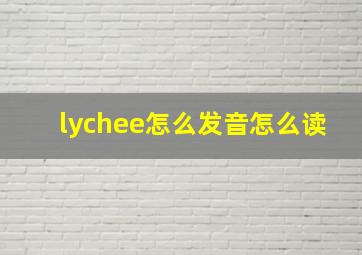 lychee怎么发音怎么读