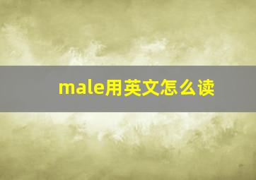 male用英文怎么读