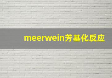 meerwein芳基化反应