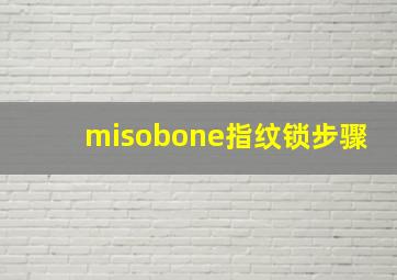 misobone指纹锁步骤