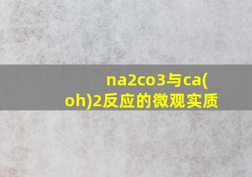 na2co3与ca(oh)2反应的微观实质