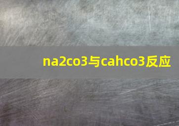 na2co3与cahco3反应