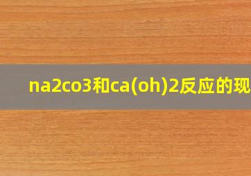 na2co3和ca(oh)2反应的现象