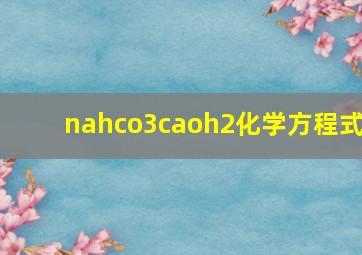 nahco3caoh2化学方程式