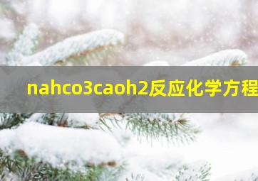 nahco3caoh2反应化学方程式